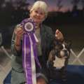 Professional Dog Handling & Conformation Training | AKC Pro