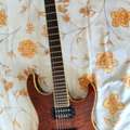 BHD 135,  Washburn X-50 PRO Q