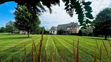 New York, Business, Green Side Up Landscaping