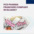 Pcd Pharma Franchise Company In Gujarat