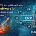 ERP Wholesale Distribution Software For Malaysia Companies