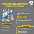 Why Would You Choose The Wordpress Development Services In Noida?