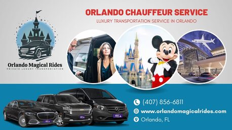 Tampa Bay, Automotive, Orlando Magical Rides