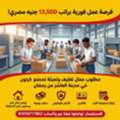 براتب 13500 مطلوب عمال تعبئة وتغليف لمصنع كرتو