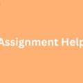 Unlock Your Potential With Top HR Assignment Help UK