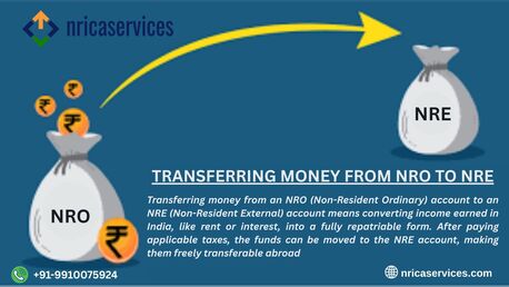 Navi Mumbai, Accounting, TRANSFERRING MONEY FROM NRO TO NRE