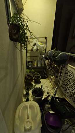 Hoora, Apartments/Houses, BHD 200/month,  2 BR,  2 Bedroom With Ewa Unlimited In Hoora