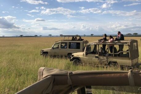 Dar es Salaam, Travel, Join An Affordable Budget Group Safari In Tanzania With Expert Guides