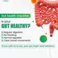 Gut Health Awareness | Laparoscopic Surgery Specialist In Bhubaneswar | Dr. Satyajit Rath