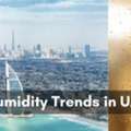 Optimal Humidity Levels UAE | Expert Solutions By Stout Energy