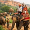 Elephant Ride In Jaipur Safe Ethical Experience