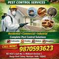 Mahesh Pest Control Services &ndash; Reliable Pest Control Near Me In Delhi