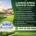 Landscaping Services In Dubai &ndash; Professional Garden & Outdoor Solutions