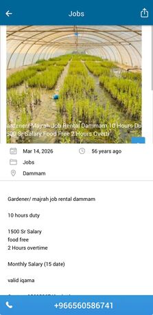 Dammam, Jobs, দাম্মামে মালী/মাজরার চাকরি ভাড়া  ১০ ঘন্টা 