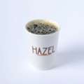 HAZEEL Coffee Shop এ কিছু সংখ্যক লোক নিয়োগ দেওয়া হবে।