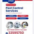 Pest Control Services