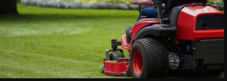 New York, Business, Best Lawn Care Service Macon GA | Trey&rsquo;s Lawn Service