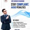 Professional WPS Support By A Registered Tax Firm In Bahrain