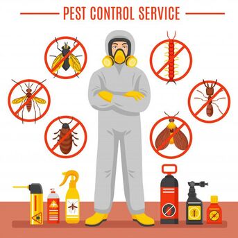 Al Rakah Al Janubiyah, Pest Control, ✅✅✅ BED BUG PROBLEM? FAST PEST CONTROL &ndash; RAKAH KHOBAR ✅ 057 007 6842 ✅