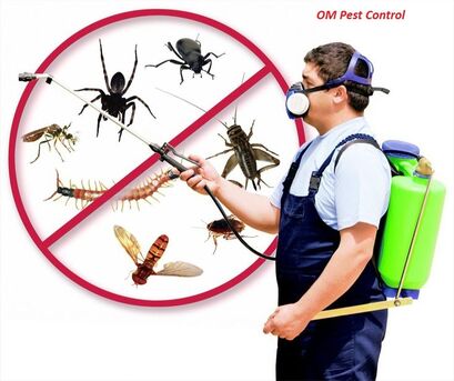 Al Andalus, Pest Control, ✅✅✅ HOME & APARTMENT PEST SPRAY SERVICE &ndash; AL ANDALUS KHOBAR ✅ 057 007 6842 ✅