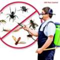 ✅✅✅ HOME & APARTMENT PEST SPRAY SERVICE &ndash; AL ANDALUS KHOBAR ✅ 057 007 6842 ✅
