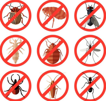 Al Montazah, Pest Control, ✅✅✅ ALL HOUSE INSECT CONTROL SERVICE &ndash; AL MONTAZAH KHOBAR ✅ 057 007 6842 ✅