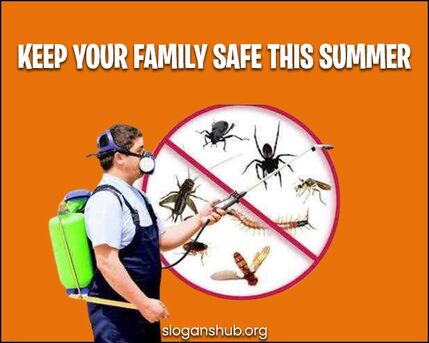 Al Montazah, Pest Control, ✅✅✅ ALL HOUSE INSECT CONTROL SERVICE &ndash; AL MONTAZAH KHOBAR ✅ 057 007 6842 ✅