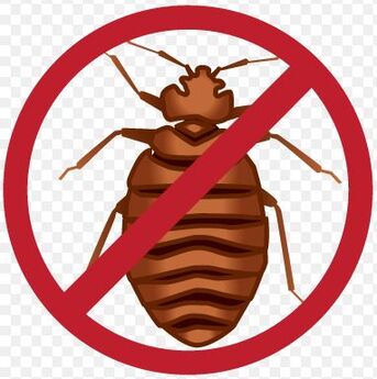 Al Dana, Pest Control, ✅✅✅ BED BUG BITES AT NIGHT? COCKROACHES IN KITCHEN? KHOBAR PEST CONTROL EXPERT ✅ 057 007 6
