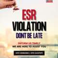 ESR CONSULTING