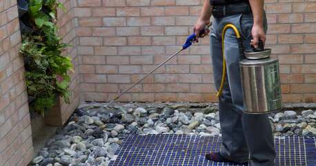 Al Barsha, Pest Control, Low Cost Odor Removal Al Barsha