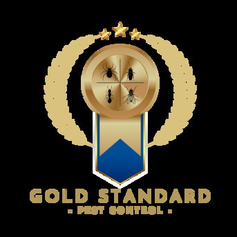 New York, Pest Control, Gold Standard Pest Control LLC: Keep Your Home Pest-Free In Sugar Land Today