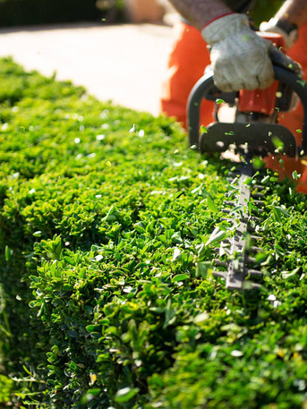 Melbourne, Business, Sura Landscaping & Home Improvement