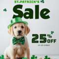 BestVetCare St. Patrick&rsquo;s Day Sale &ndash; Enjoy 25% OFF + Free Shipping