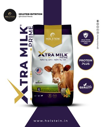 Punjab, Food, INR 1595,  Holstein - Xtra Milk Prime Cow Feed 50kg, Cattle Feed Pellets For Maximum Milk Yield