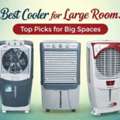 Buy Best Cooler For Large Room By Burly