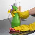 Where To Find The Best General Cleaning Services In Dubai? Green Horizon Can Help