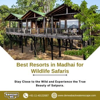 Bhopal, Travel, Best Resorts In Madhai For Wildlife Safaris