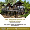 Best Resorts In Madhai For Wildlife Safaris