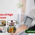 BP Causes: Common Reasons Why Your Blood Pressure Gets High