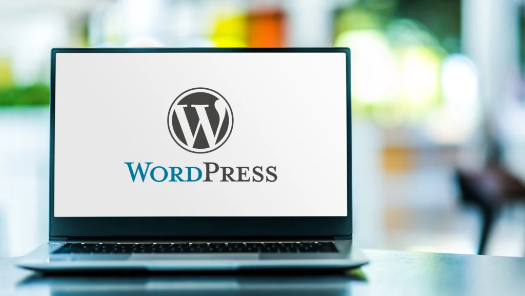 New York, Web Design & Development, What Are Custom WordPress Website Development Services?