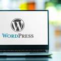 What Are Custom WordPress Website Development Services?