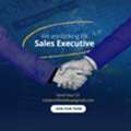 Sales Executive