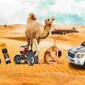 Smart Guide To Desert Safari Dubai Packages On A Budget