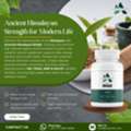 INR 399,  Actavite Himalayan Shilajit Natural Immunity Booster For Energy And Strength