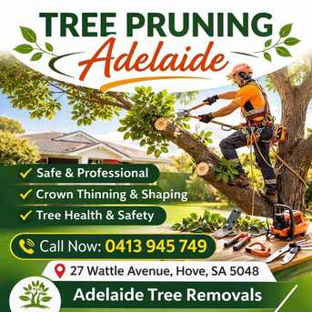 Sydney, Farm/Garden, Professional Tree Care And Tree Pruning Adelaide Services By Adelaide Tree Removals