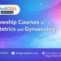Fellowship In Obstetrics And Gynaecology &ndash; Admission Open