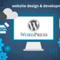 Website Design & Development Services