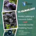 Affordable Budget Camping Safari In Tanzania With To Kilimanjaro