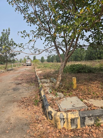 Hyderabad, Residential Plots, INR 35000,  200 Sq. Yard,  Hmda & Rera Aproved Open Villa Plots For Sale At Thukkuguda Inside Orr