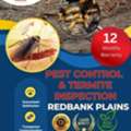 Affordable Pest Control Redbank Plains